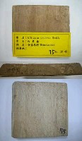 藏品(白其春)的圖片